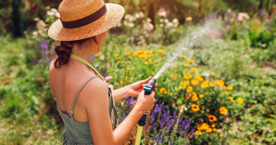 How to Keep Your Garden Alive During Hot Summers or Dry Spells